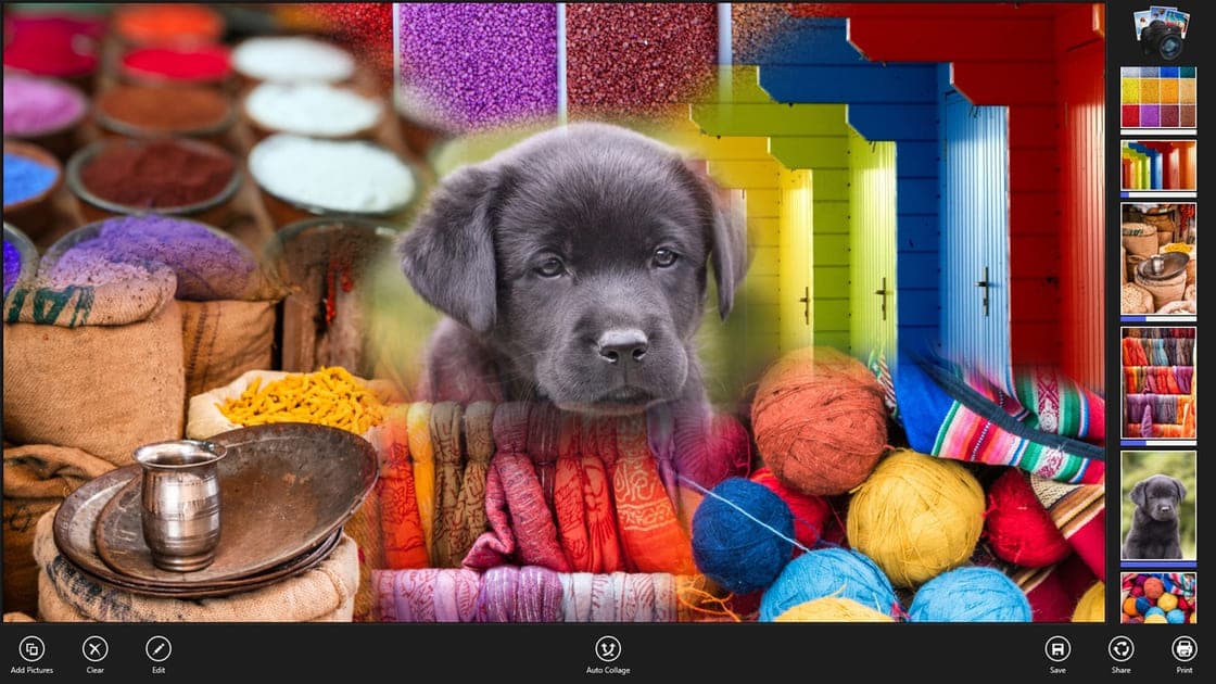 Un collage en Coollage con un cachorro, materiales de manualidades y escaparates coloridos